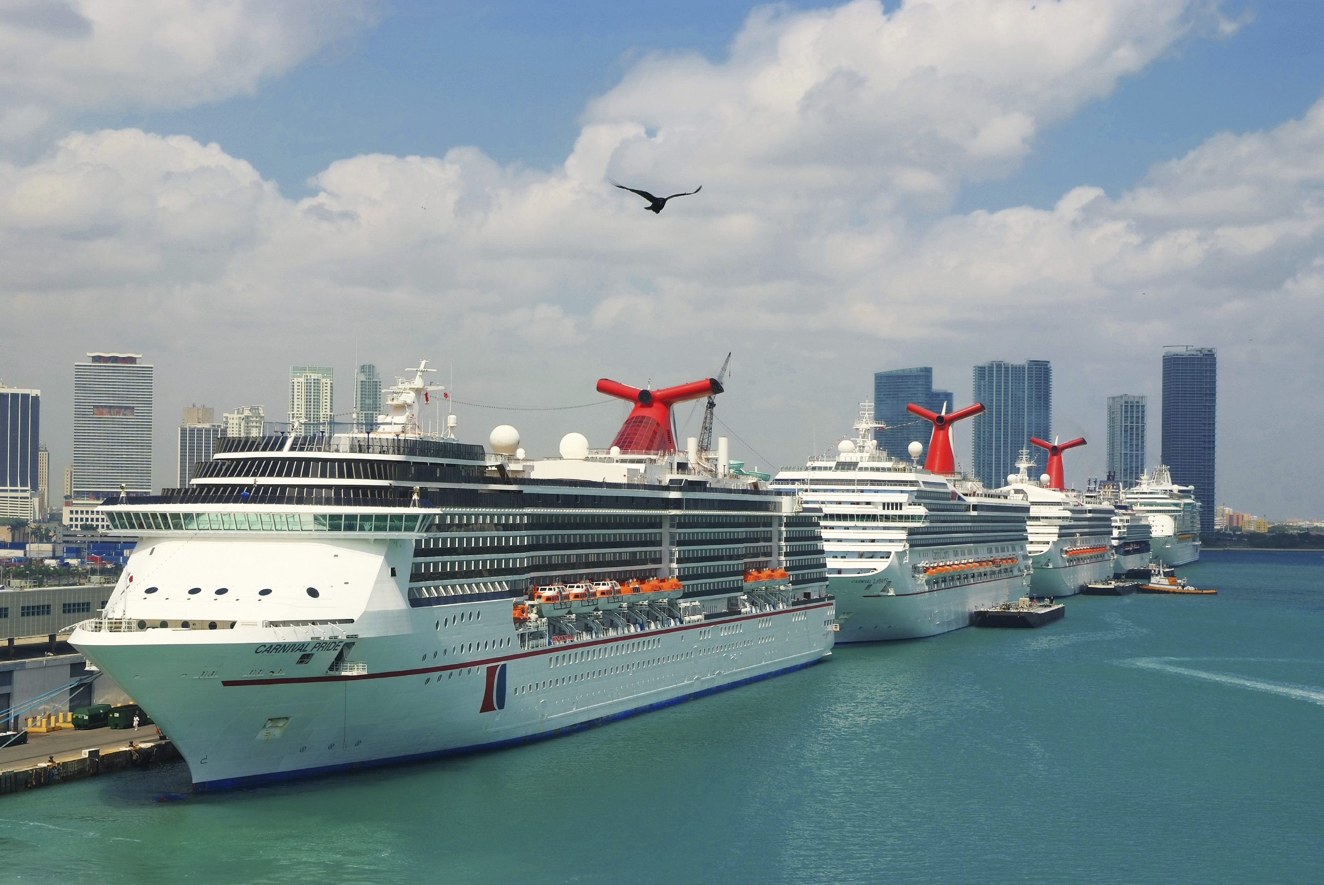 Port Of Miami Security cruise ship security lipcon Port Of Miami Security cruise ship security lipcon
