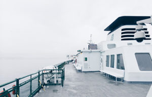 sexual assault on cruise ships