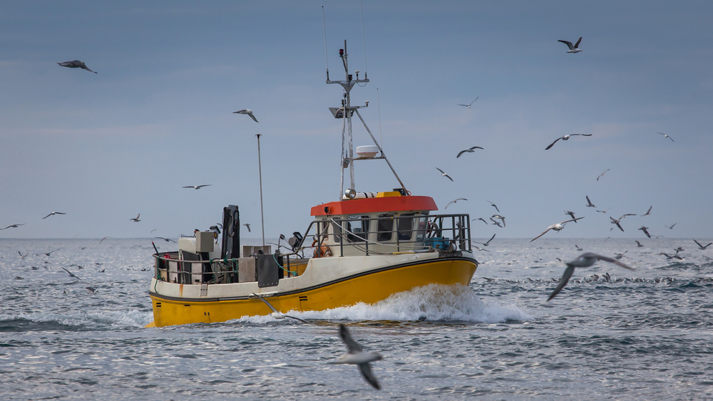 commercial fishing boat